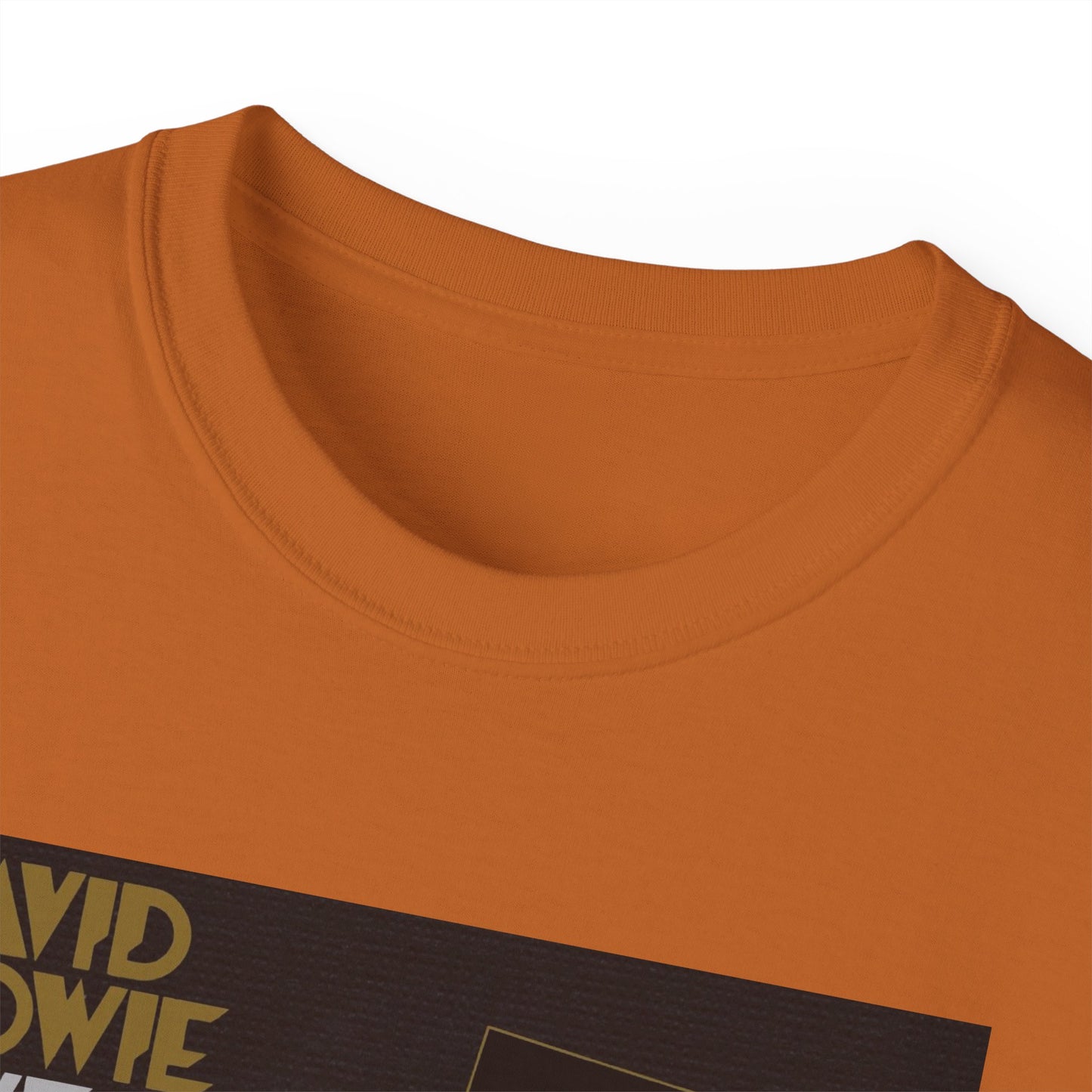 DeCon Albums Presents - David Bowie - Live Santa Monica 72"