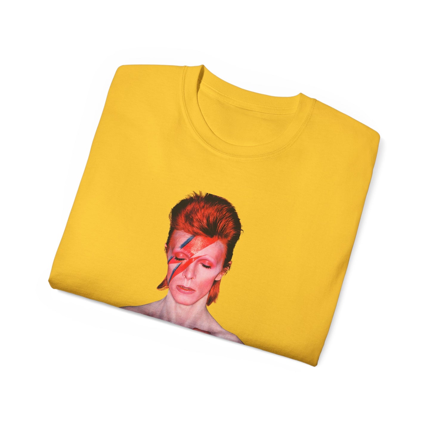 DeCon Albums Presents - David Bowie - Alladin Sane LP (1973)