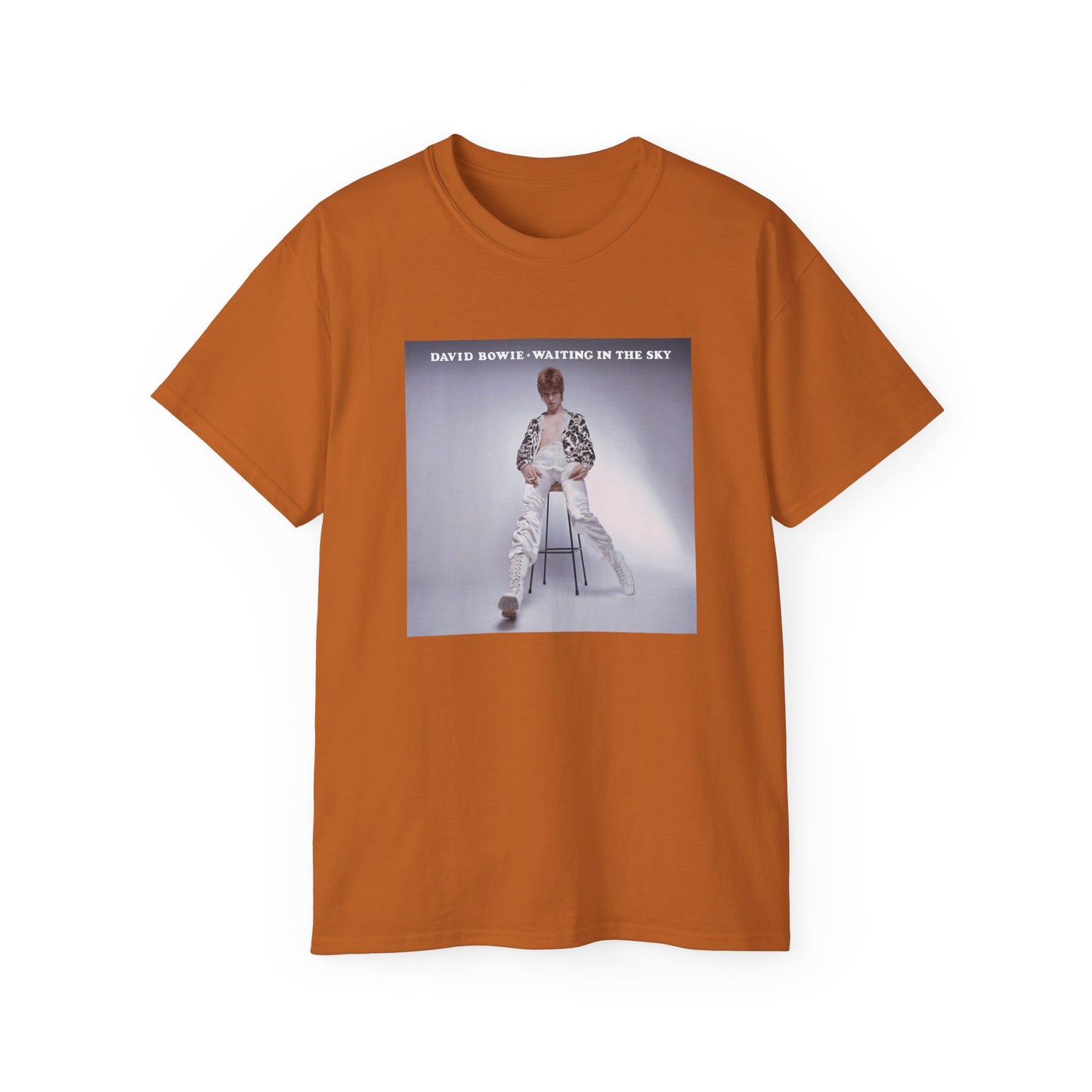 DeCon Albums Presents - David Bowie - Waiting in the Sky (Before the Starman Came to Earth)