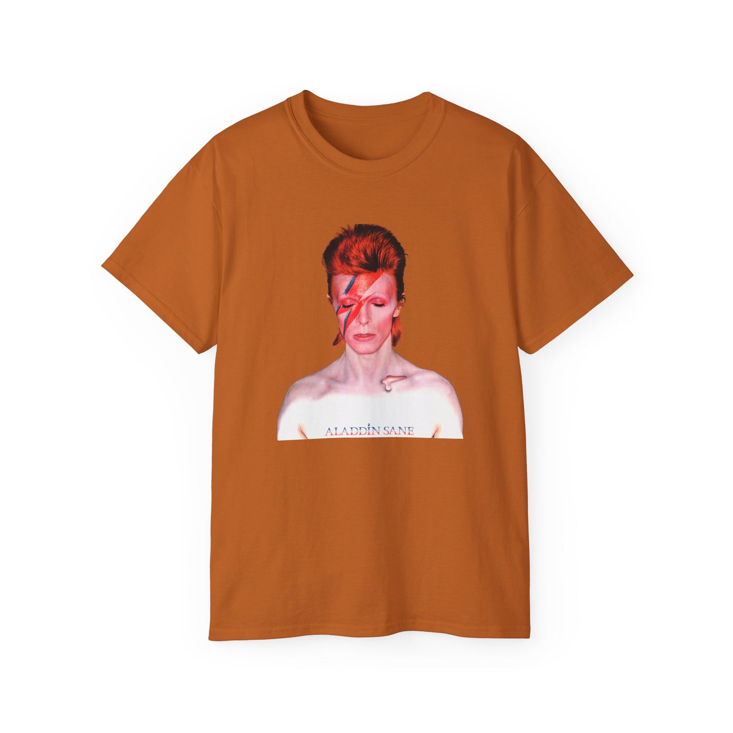 DeCon Albums Presents - David Bowie - Alladin Sane LP (1973)