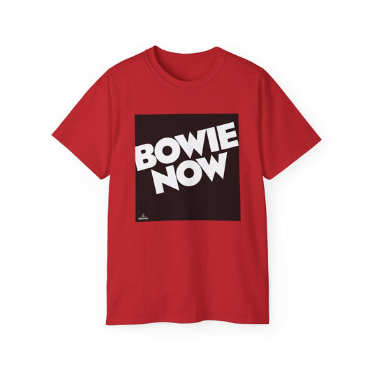 DeCon Albums Presents - David Bowie - Bowie Now LP (1978)