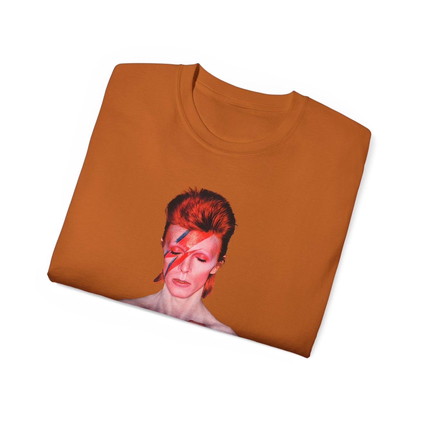 DeCon Albums Presents - David Bowie - Alladin Sane LP (1973)