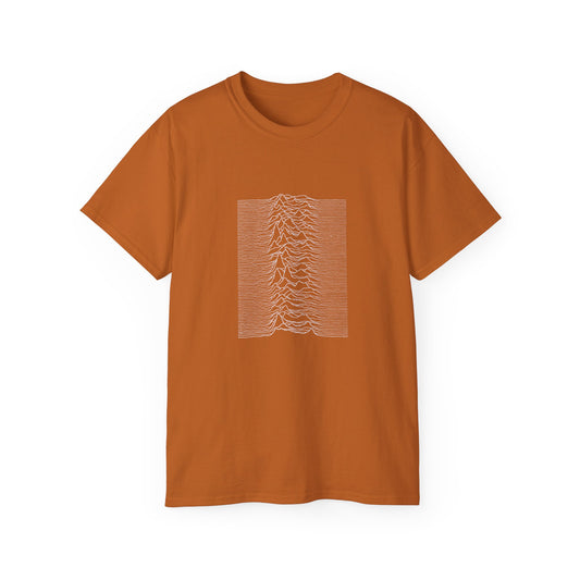 DeCon Albums Presents - Joy Division - Unknown Pleasures